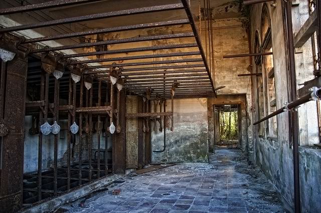 This Poveglia Island Is So Haunted. Here are 10 Reasons Why Even ...